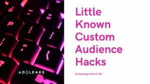 little known custom audience hacks
