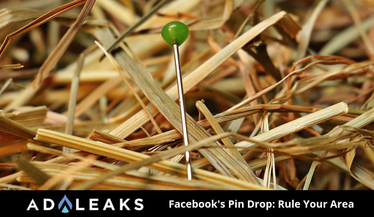 Facebook's pin drop