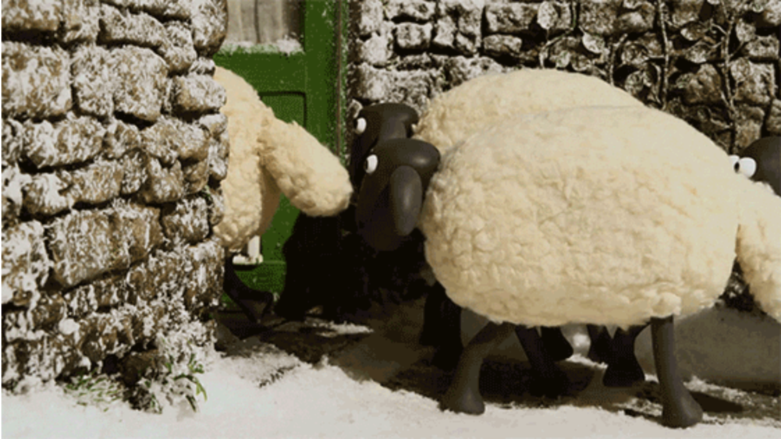 the power of social proof sheep