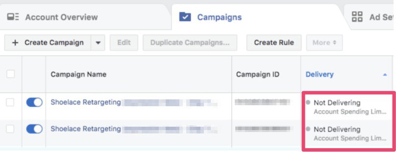 campaigns overview not delivering