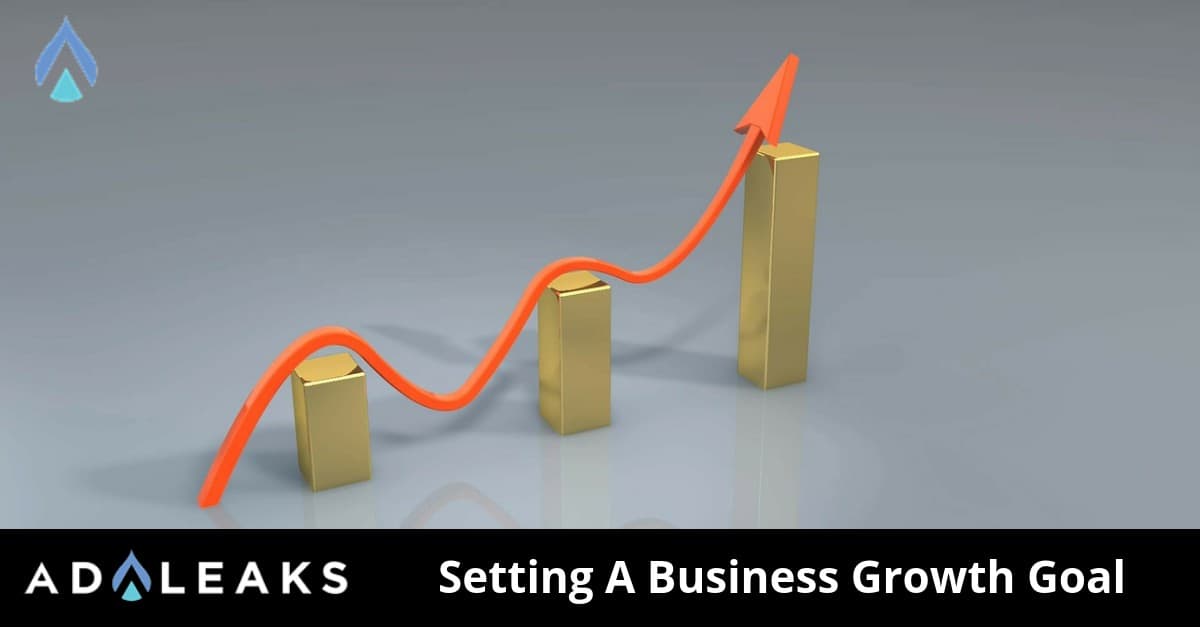 Business Growth Goal