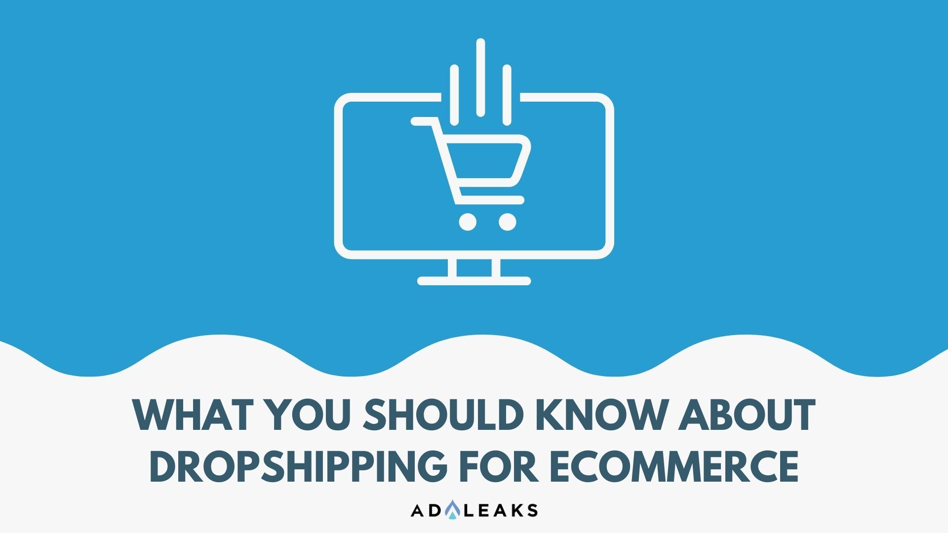 dropshipping for ecommerce blog