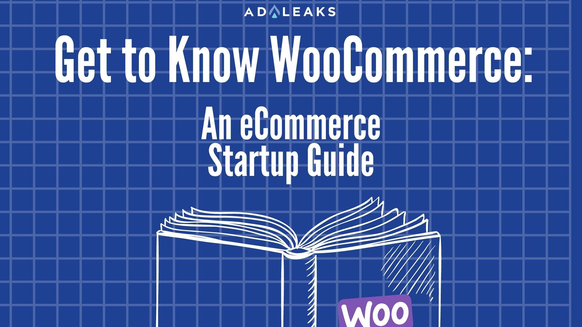 woocommerce startup guide featured