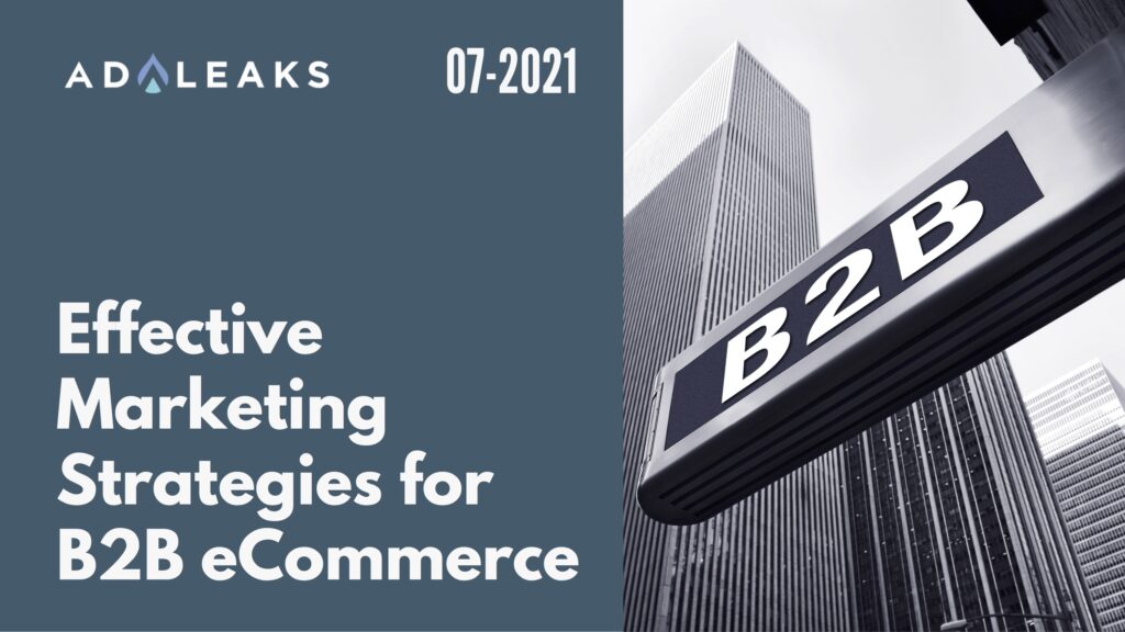 Effective Marketing Strategies for B2B eCommerce