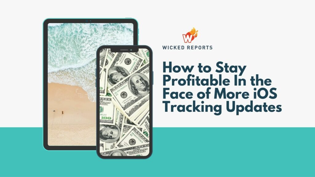 How to Stay Profitable In the Face of More iOS Tracking Updates