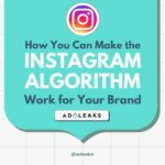 instagram algorithm featured