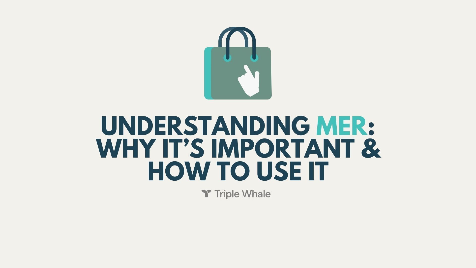 understanding mer triple whale featured