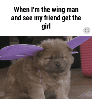 wingman puppy