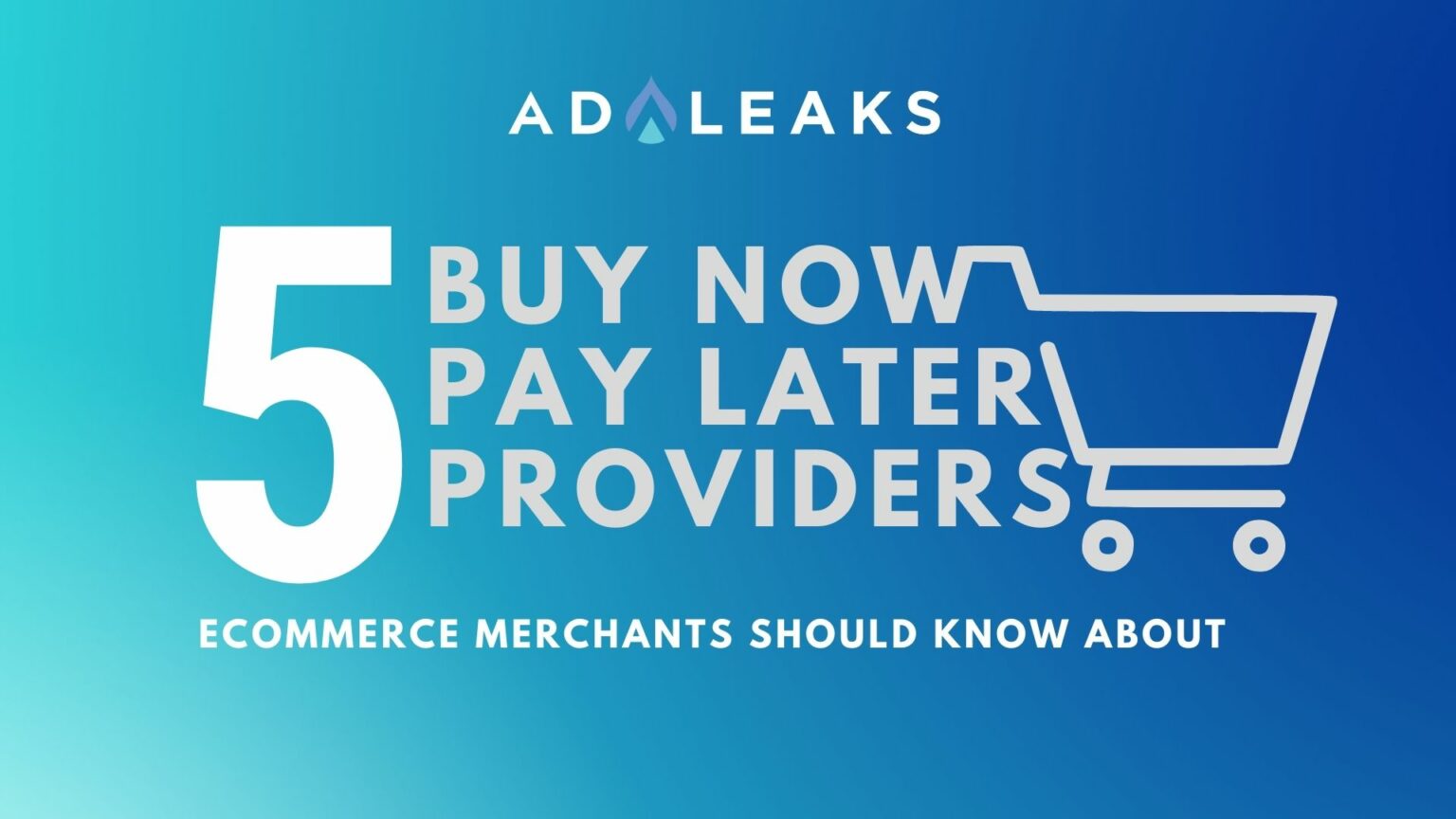 5 Buy Now Pay Later Providers eCommerce Merchants Should Know About