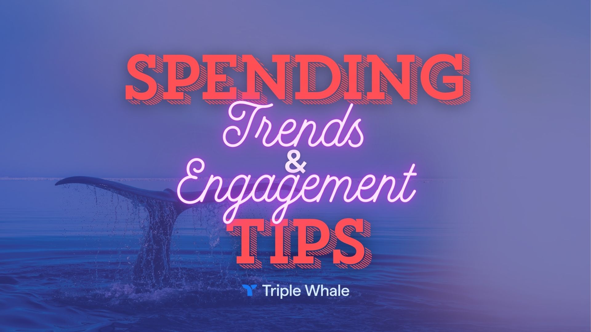 spending trends engagement tips