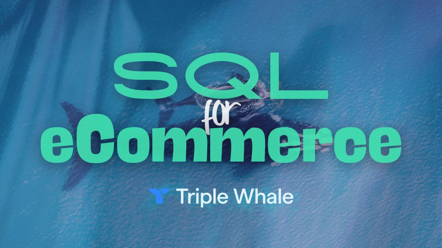 Why Every eCommerce Marketer Needs SQL