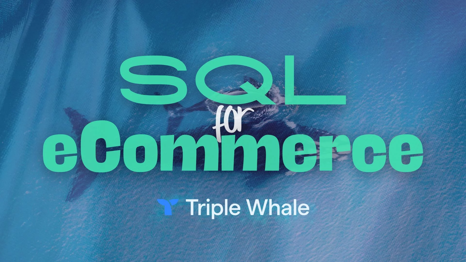 sql for ecommerce