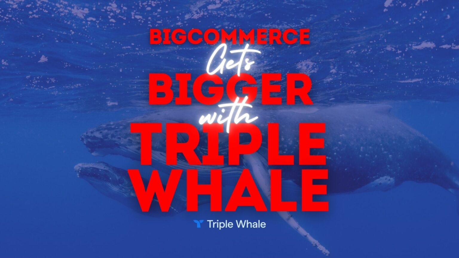 BigCommerce Gets Bigger with Triple Whale