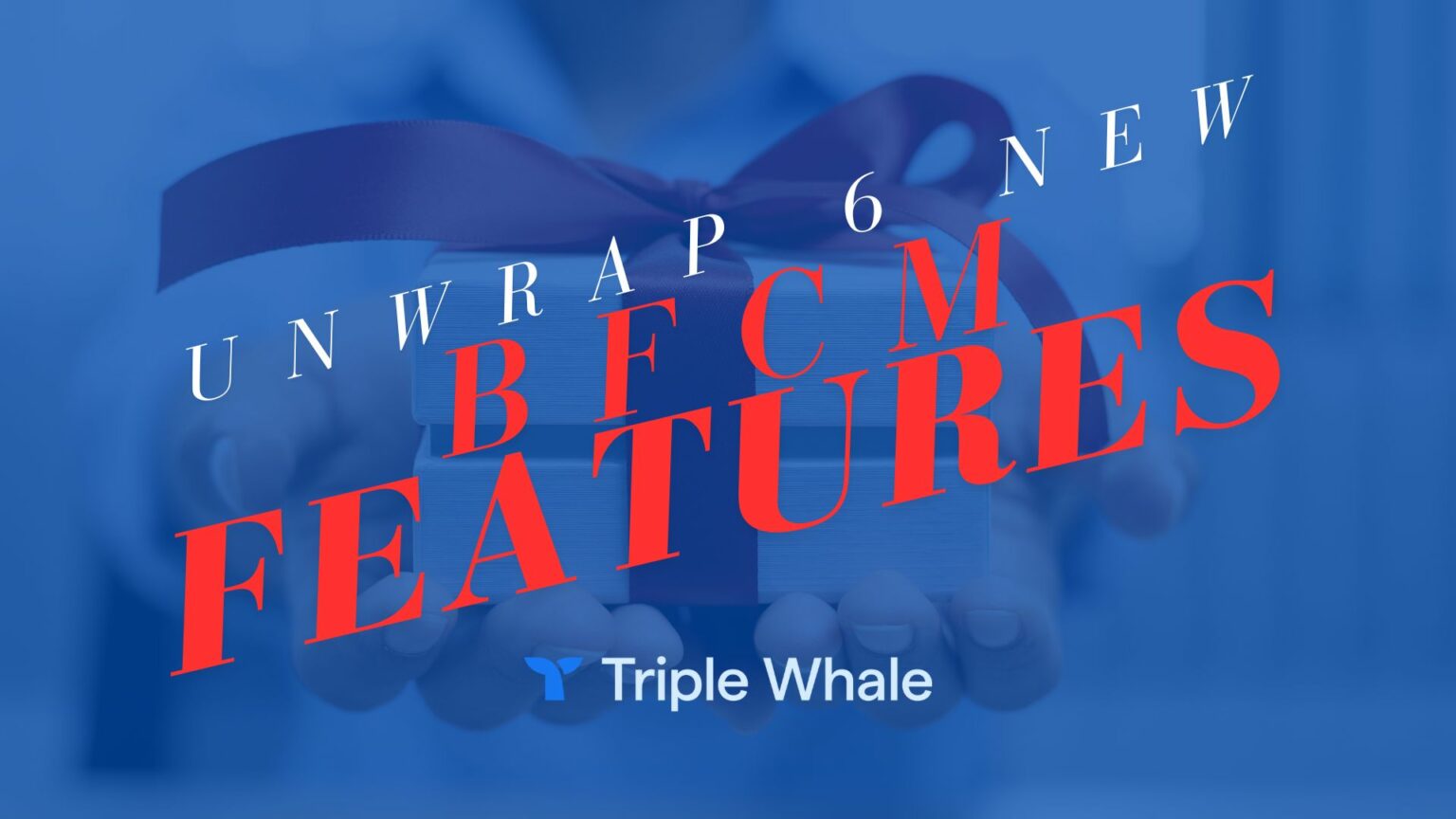 Unwrap These 6 New Triple Whale Features Before BFCM