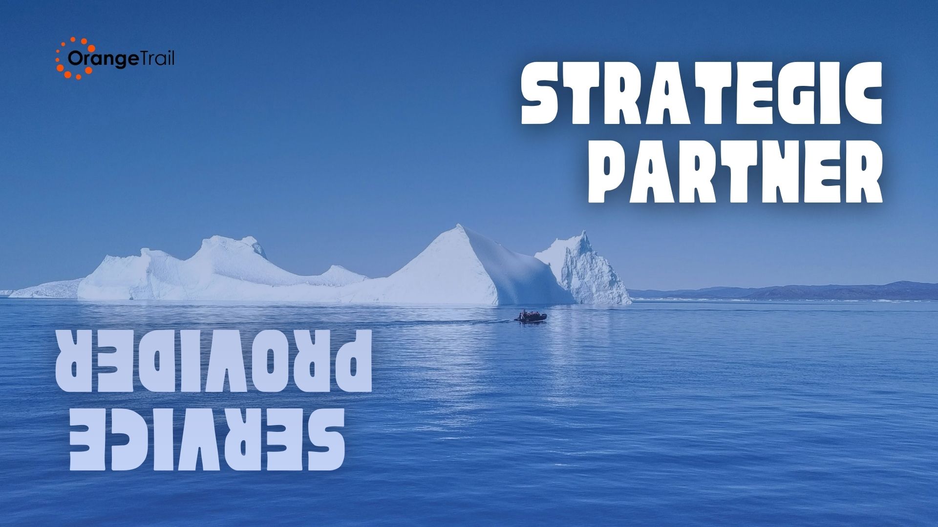 service provider strategic partner